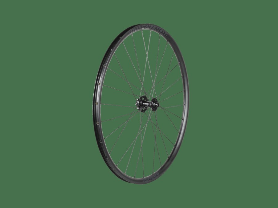 Uitrusting Trek Wielen | Bontrager Paradigm Tlr Ride+ 28H Disc 700C Road Wheel Black