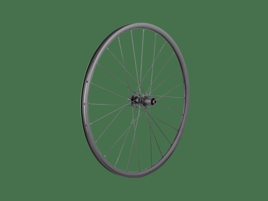 Uitrusting Trek Wielen | Bontrager Paradigm Sl Centerlock Disc 24H Nipples 700C Road Wheel Black